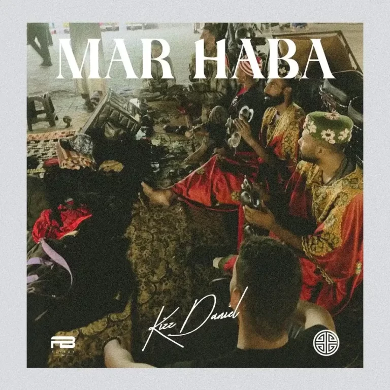 Kizz Daniel – Mar Haba (Snippet)