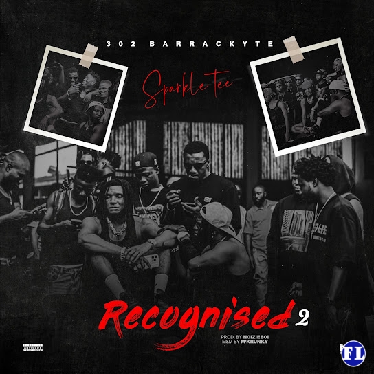 Sparkle Tee – Recognized 2